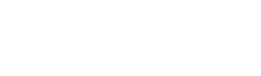 Lionesa